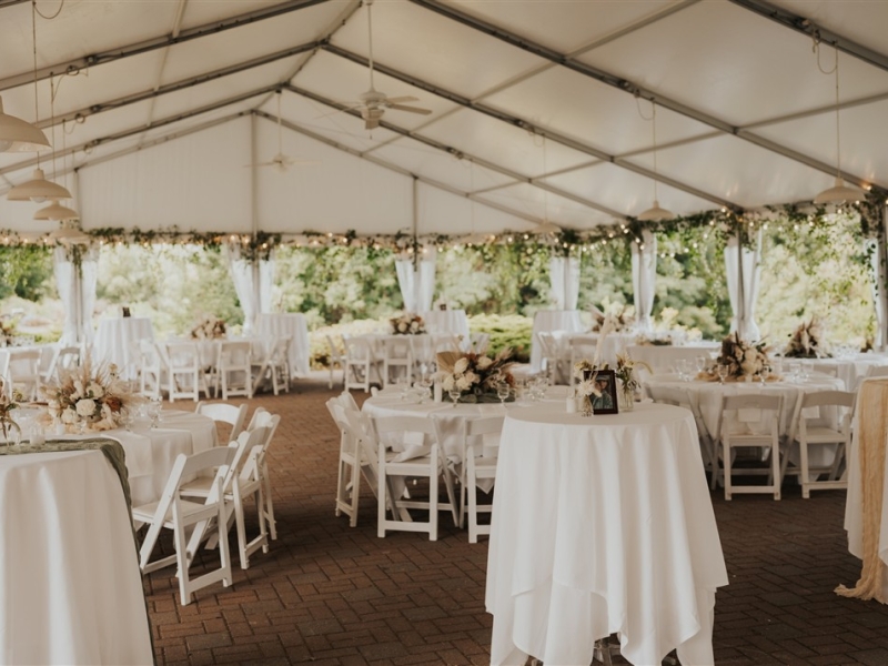 Weddings 3